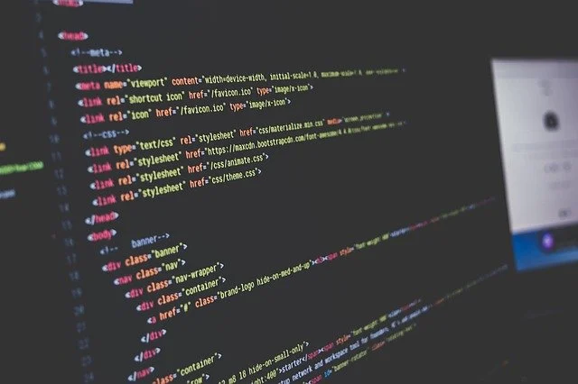 IT Degree Jobs: Top Career Paths for Information Technology Graduates