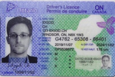 Understanding IDGod: A Comprehensive Guide to Digital ID Services