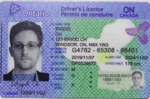 Understanding IDGod: A Comprehensive Guide to Digital ID Services