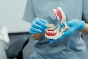 Orthodontists